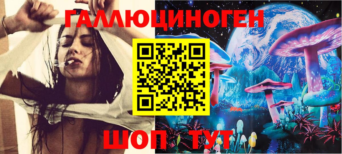 Псилоцибиновые грибы MAGIC MUSHROOMS Черняховск