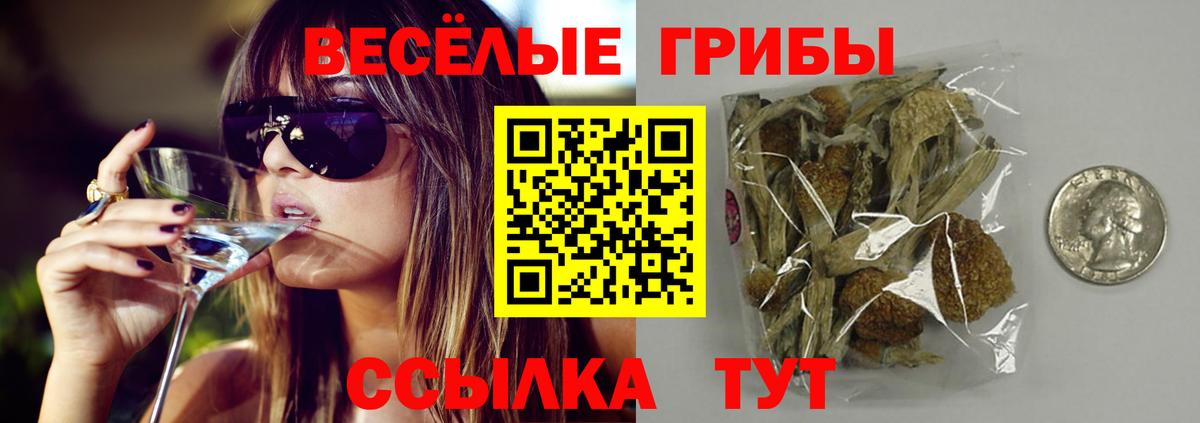 Псилоцибиновые грибы ЛСД  как найти закладки  Галлюциногенные грибы GOLDEN TEACHER  Черняховск  Вход с VPN 
